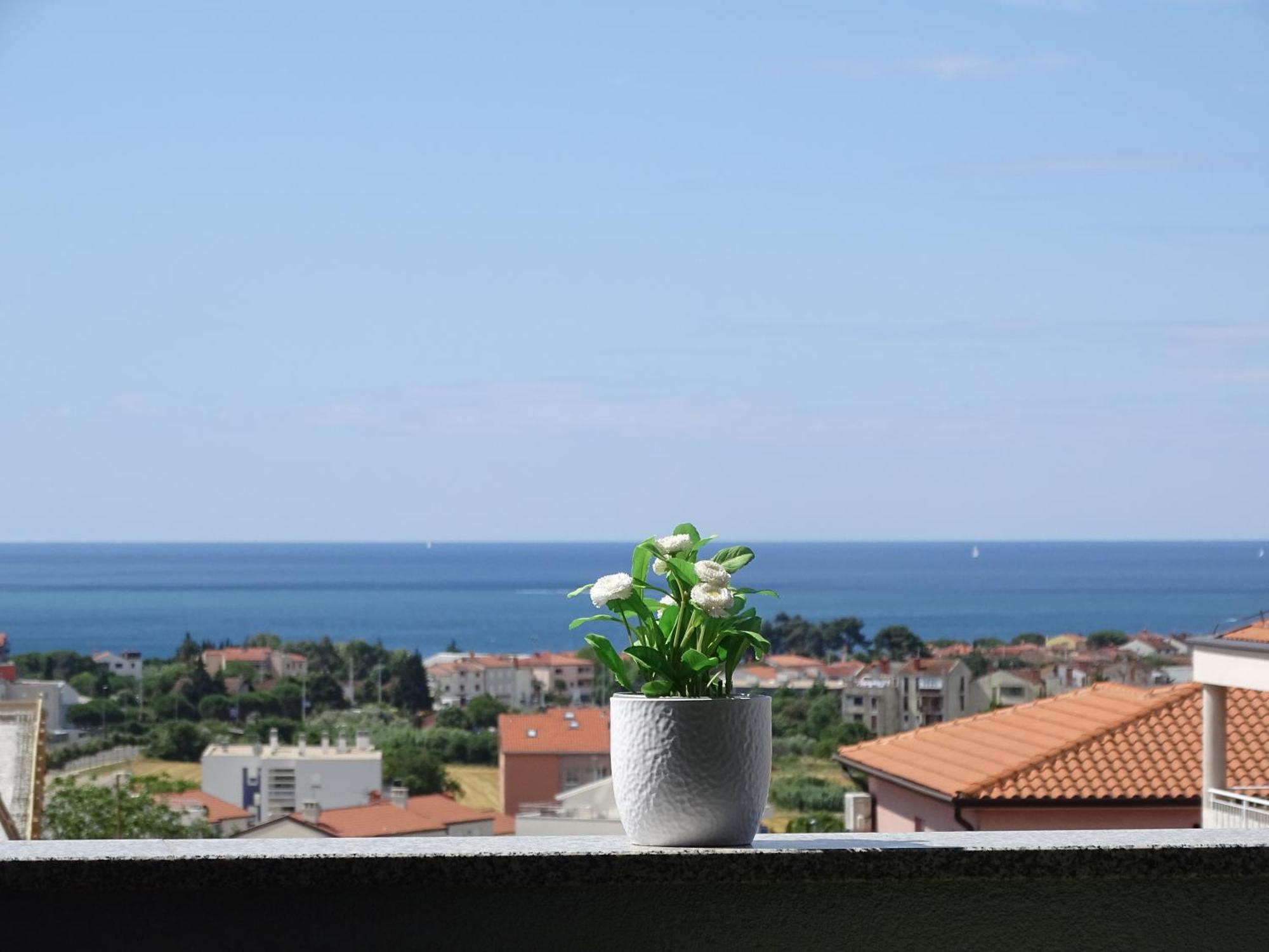 Apartment Bellavista Novigrad Istria Kültér fotó